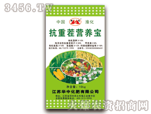 �A��-����-���ز�I�B(y��ng)��