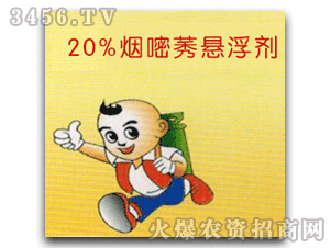 ���h-20%����ݬ�Ҹ���