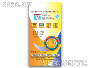 Դ�S-�֠���-�ͺϷ���20-10-10