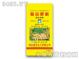 Դ�S-�֠���-�ͺϷ���22-10-8