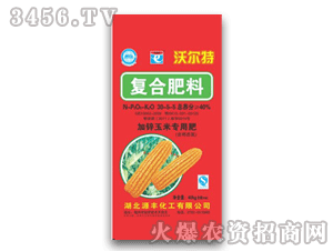 Դ�S-�֠���-�ͺϷ���30-5-5