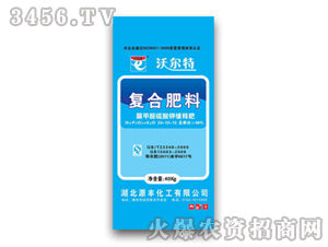 Դ�S-�֠���-�ͺϷ���24-12-12