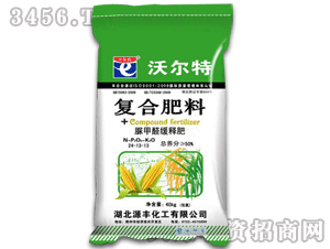 Դ�S-�֠���-�ͺϷ���24-13-13