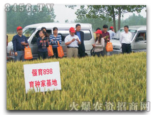 ��������898��С���N�ӣ�