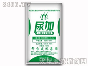 ��Ӵ��w�������@