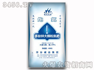 �����\���w������-�ڵ�