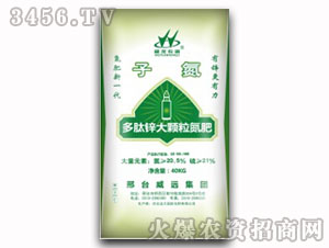 �����\���w������-�ӵ�