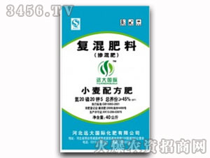 ��(f��)�����20-20-5-�h��