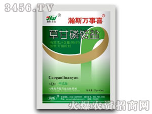 88.8%�ݸ���@�}-�˹�f��ϲ