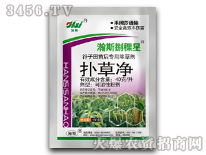 40g/����݃�-�˹������