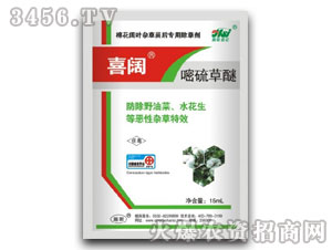 �ײ�����-ϲ�