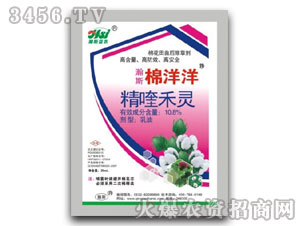 10.0%��୺��`-�˹������