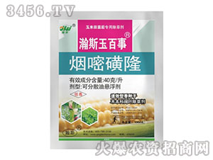 40��/�����׻�¡-�˹�����