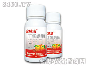 20%��������-�����M