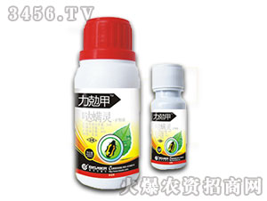 34%�}���`-���˼�