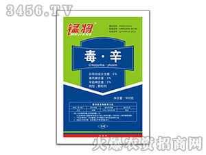 3%������+3%�������w����-�͌�