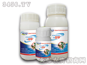 10%��x(ch��ng)��-�M��-��(r��n)������