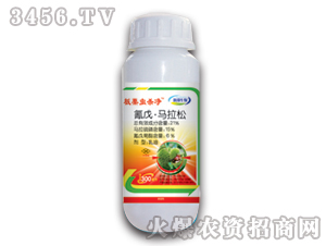 21%�����R����-�����x����-��������