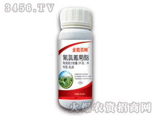 50��/�����������-ȫ�ܰ٘�(sh��)-��(r��n)������