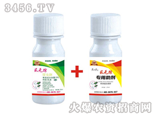 ʭ�oۙ-�����r(n��ng)�I(y��)