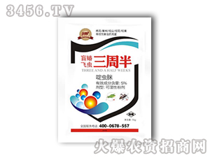 盲蝽飛蟲三周半-冠能農業(yè)