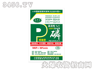 �߻���1+1�ף���ʩ�ͣ�-�S�̷ʘI(y��)