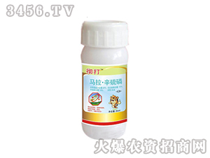 20%�R��������-�ش�-�����r(n��ng)ˎ