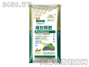 ����ጷ�18-20-8-����