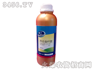 �K�ƽ�U��-����