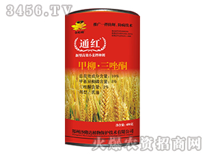 10%��������ͪ����-ͨ�t-����