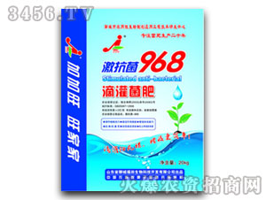 �ι����-������968-��������