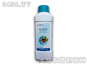 ����Һ��-���㺣