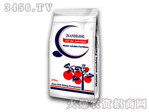 �M��ˮ�ܷ��{��-���㺣