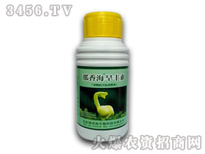 ���㺣���S��-���㺣