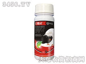 40%���SȲ���ؚ��x(ch��ng)��-�����`-��Ѹ