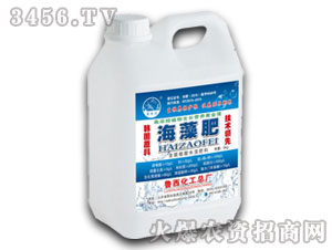 ��ꖌ�ϵ�к���ֲ�ả��ˮ�ܷ�