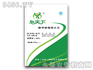 ��(f��)�����17-19-6-���߇��H