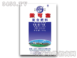 �ͺϷ���16-6-18-���ɸ�