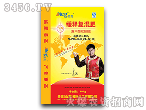 ��ጏ�(f��)���24-12-10-���߇��H