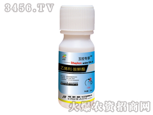 ���׌����{(di��o)��(ji��)��-��ϩ�����r��-�������