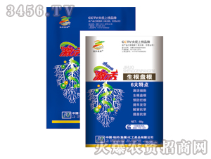 ���������P�����{(di��o)��(ji��)����-�������