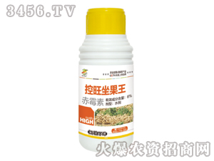 ��ù��ˮ��-����������-�������