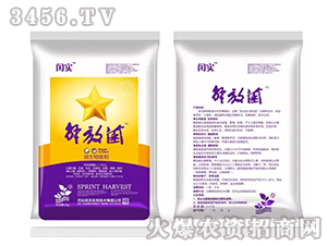 ΢�������-��ž�-�c��(sh��)