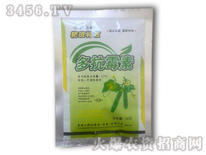 �࿹ù��-���r(n��ng)5̖-����ʘI(y��)