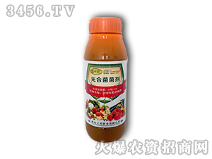 ��Ͼ�����-����ʘI(y��)