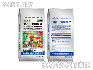 ���ϡ��S�����-��������-��Խ����