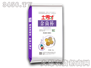 ΢�������-�����-�����