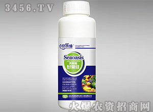 ��������ˮ�ܷ���-�����Ǻù���-ؐ����-��᷾G��