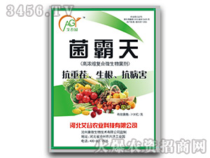 �ߝ�s��(f��)��΢�������-������-����