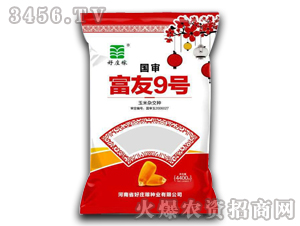 ���s���N-����9̖-���f��